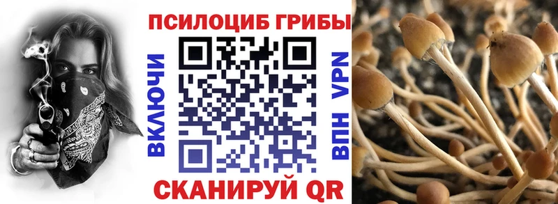 Купить где  Микунь  Галлюциногенные грибы мухоморы 